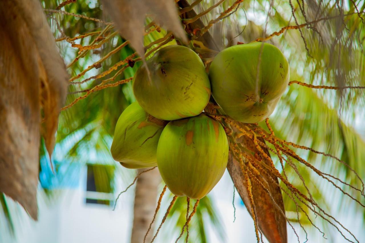 Pwani Beach Boutique Hotel Zanzibar Pwani Mchangani Eksteriør billede